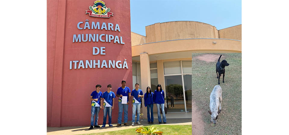 Itanhangá: Alunos cobram a retirada de Cães abandonados nas Ruas, Avenidas e praça
