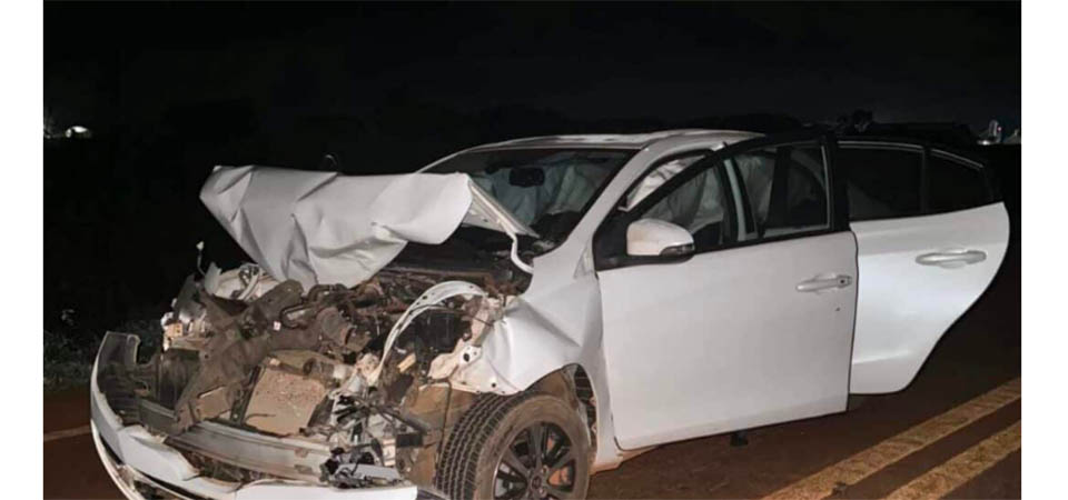 Casal de policiais e filhos saem ilesos de acidente após colisão com animal em rodovia
