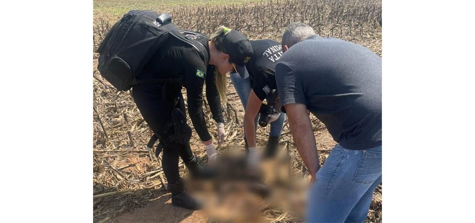 Politec procura familiares de homem encontrado morto em uma fazenda