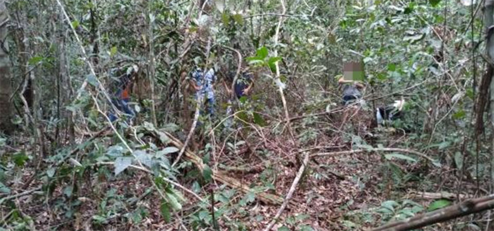 Mulher tenta desviar de ciclista, bate em árvore e morre