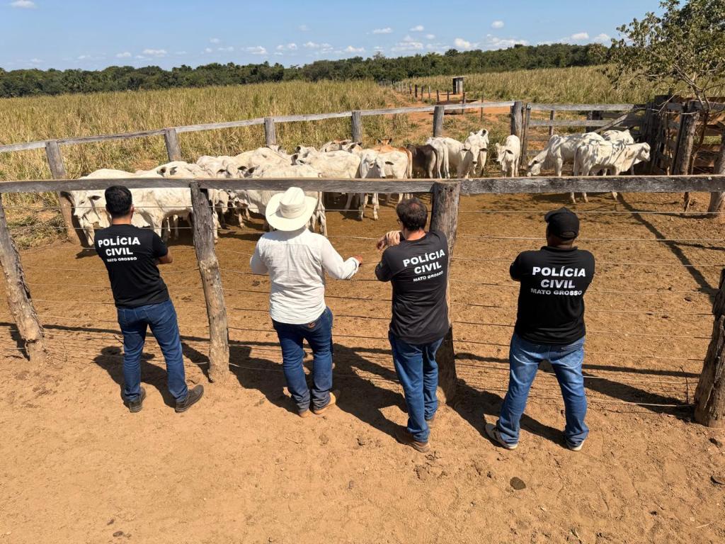 Polícia Civil recupera 33 cabeças de gado furtadas de propriedade rural