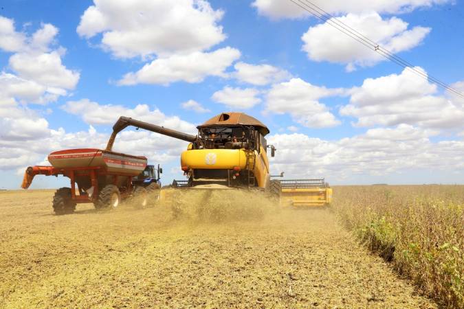 Colheita da soja em MT chega a 99% e safrinha está totalmente plantada