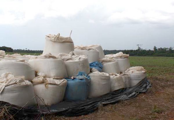 Bandidos furtam mais de 130 toneladas de fertilizantes de fazenda