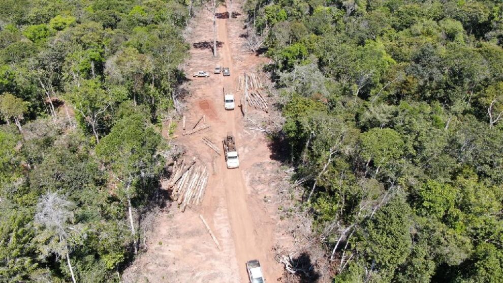Operação contra desmate ilegal é feita, 3 detidos e tratores apreendidos