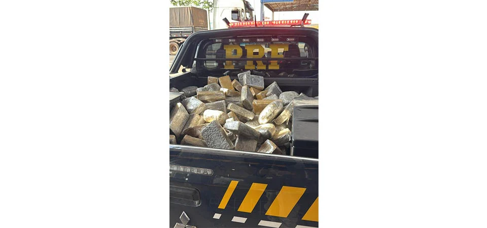 PRF apreende 157 kg de skunk em caminhão-cegonha na BR-364
