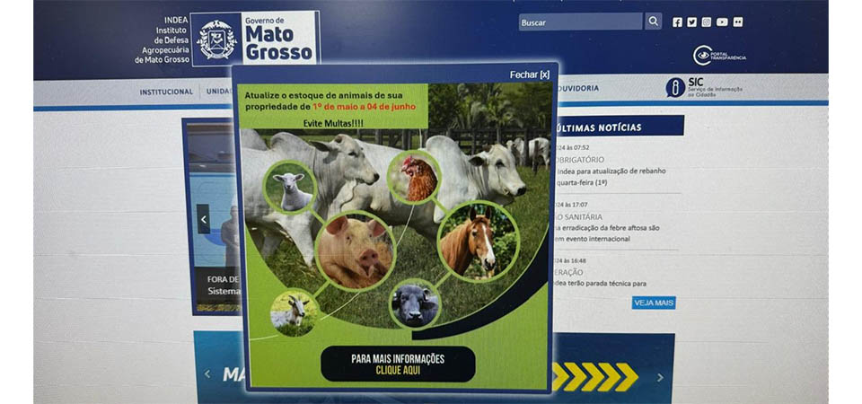 Itanhangá: Mais de 350 produtores não fizeram atualização de estoque rebanho