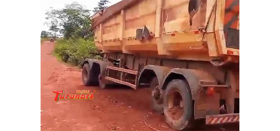 Caminhão parado na estrada teve pneus furtados