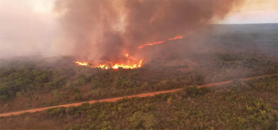 Brigadista que desapareceu enquanto combatia incêndio é encontrado morto carbonizado