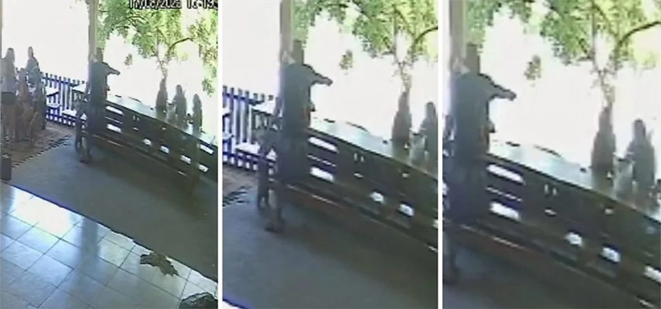 “Tenho um presente” homem chega com arma em caixa de presente e mata ex-mulher em pesque e pague ; veja video
