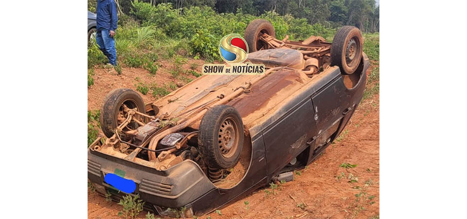 Motorista tenta desviar de anta e capota o carro na MT 338
