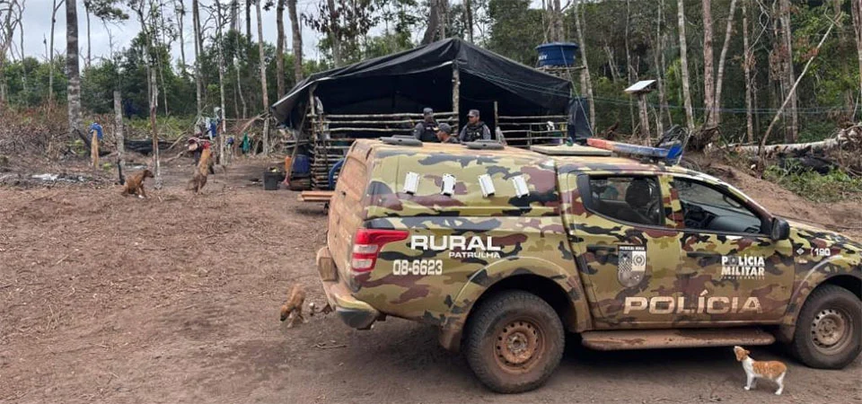 Patrulha Rural resgata crianças por trabalho infantil; três pessoas são presas