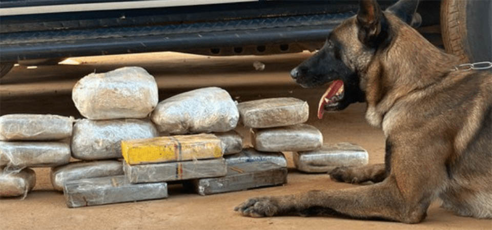 PRF apreende cocaína e skunk escondidos em portas de veículo