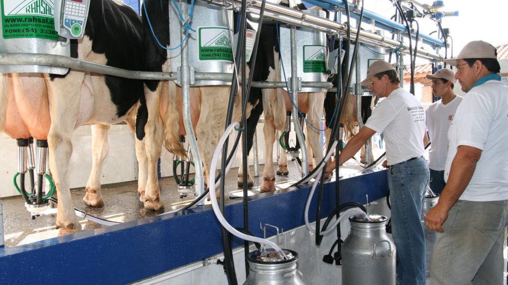 Nortão se destaca com maior produtor regional de leite no Estado