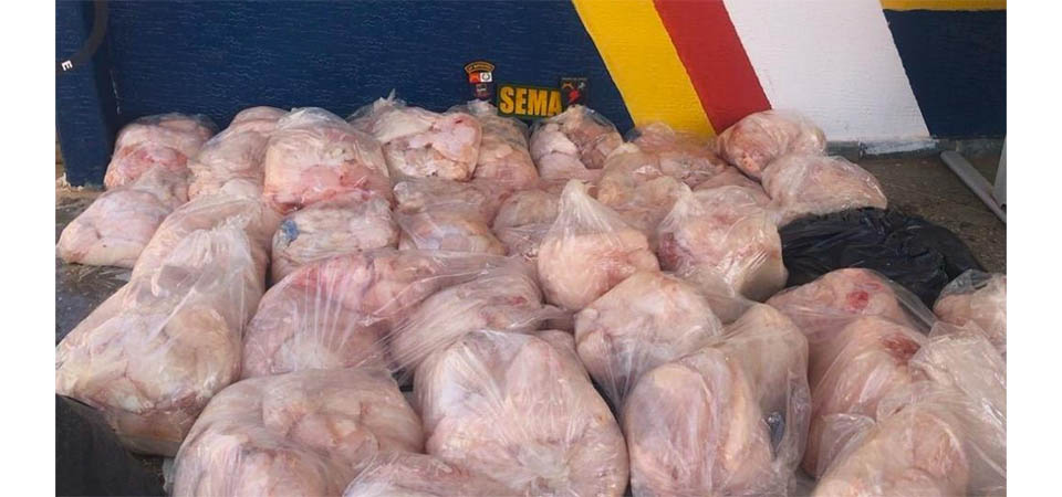 Sema e PM multam dupla em R$ 294 mil por caça de mais de 500 kg de carne de jacaré