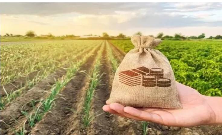 Justiça de MT garante prorrogação de dívidas para produtores rurais após perda de safra