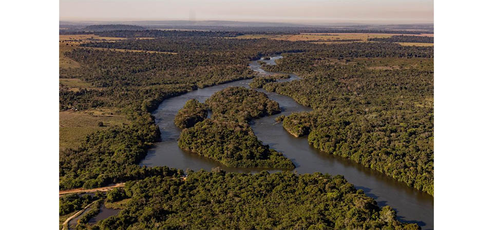 Inpe aponta redução de 51% em um ano no desmatamento na Amazônia Legal de MT