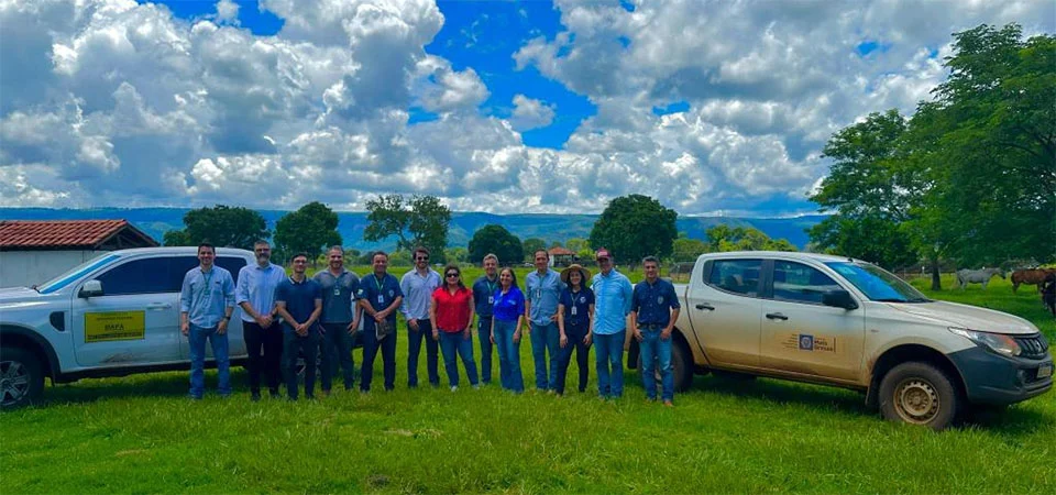 Tapurah: Homem para fazer necessidades e avista ossada em mata