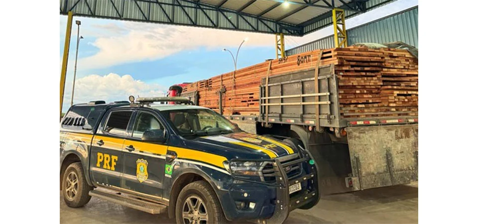 PRF apreende carga de madeira irregular durante operação
