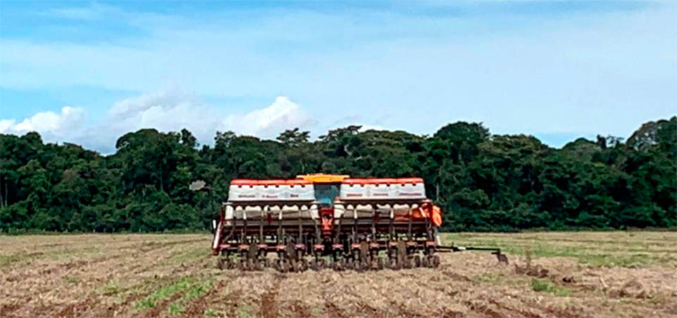 Conflito no Oriente Médio eleva preço da ureia e deve impactar safra em Mato Grosso