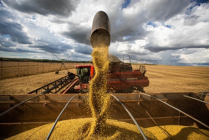 Brasil colhe mais de 178 milhões de toneladas de soja e reforça liderança global
