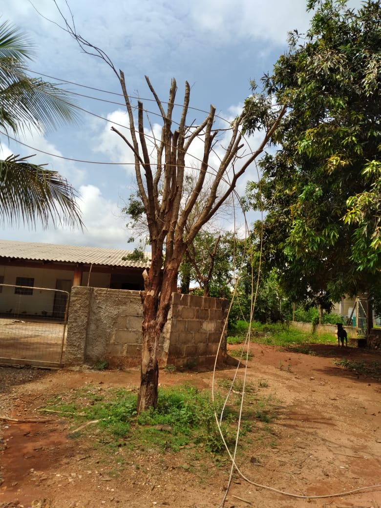 Itanhangá: Descaso da Energisa deixa moradores revoltados
