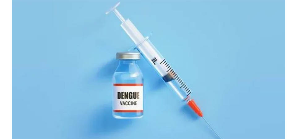 Novo inseticida traz esperança para controle da dengue