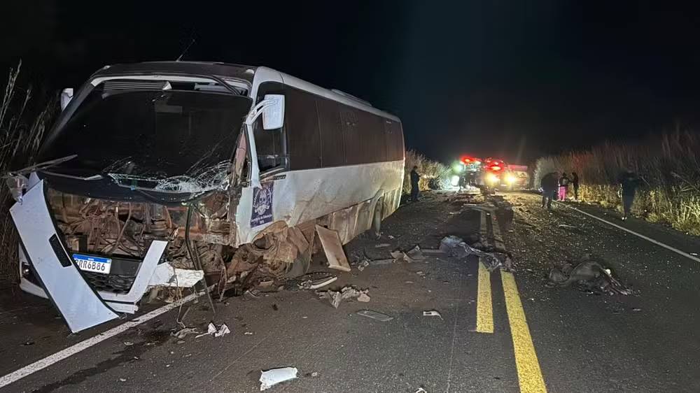 Colisão entre carro e micro-ônibus mata casal e deixa crianças feridas em rodovia