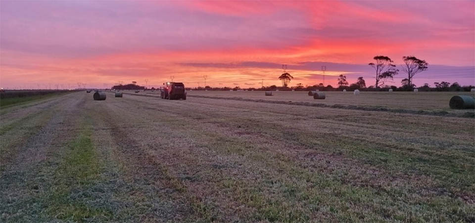 Mato Grosso pode ter duas novas ondas de calor extremo e safra agrícola prejudicada devido a falta de chuvas