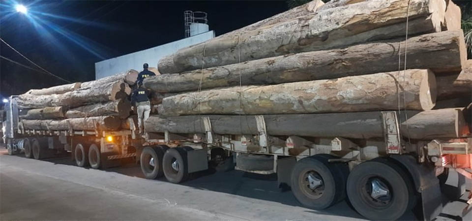Ipiranga: PRF apreende carga de madeira ilegal