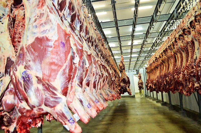 União Europeia barra importação de carnes e de animais do Brasil