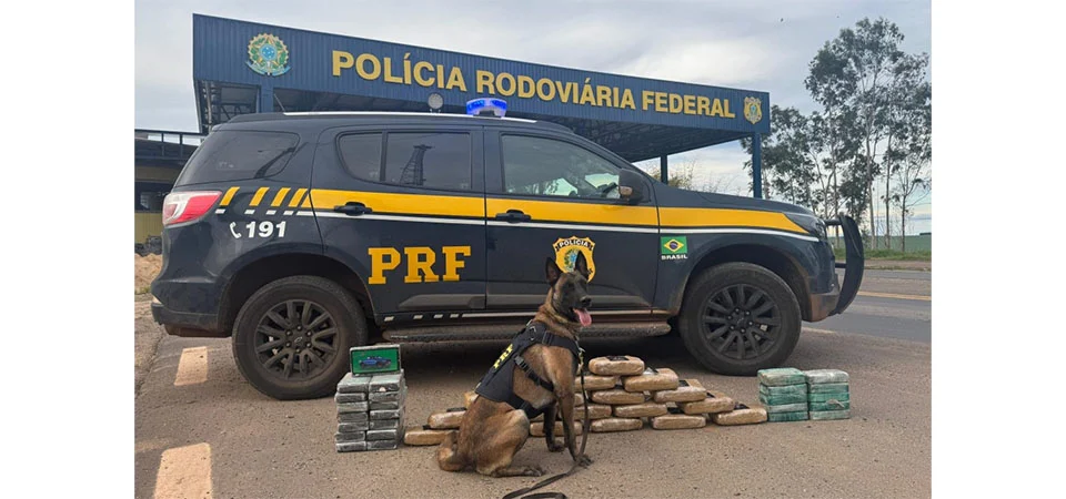 PRF encontra mais de 46 kg de drogas escondidas sob cama de caminhão