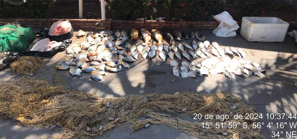 Polícia Militar e Sema apreendem 102 quilos de pescado e 33 quilos de carne de jacaré