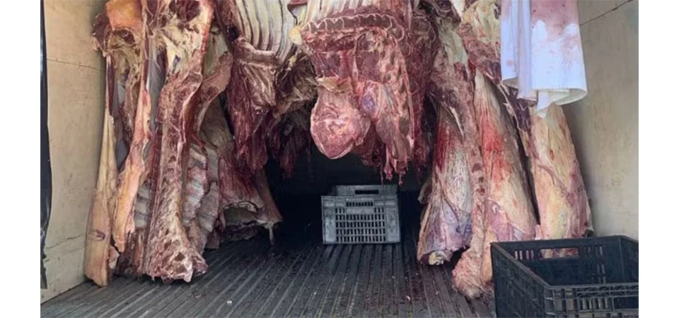 Frigorífico é autuado por transporte irregular de toneladas de carne