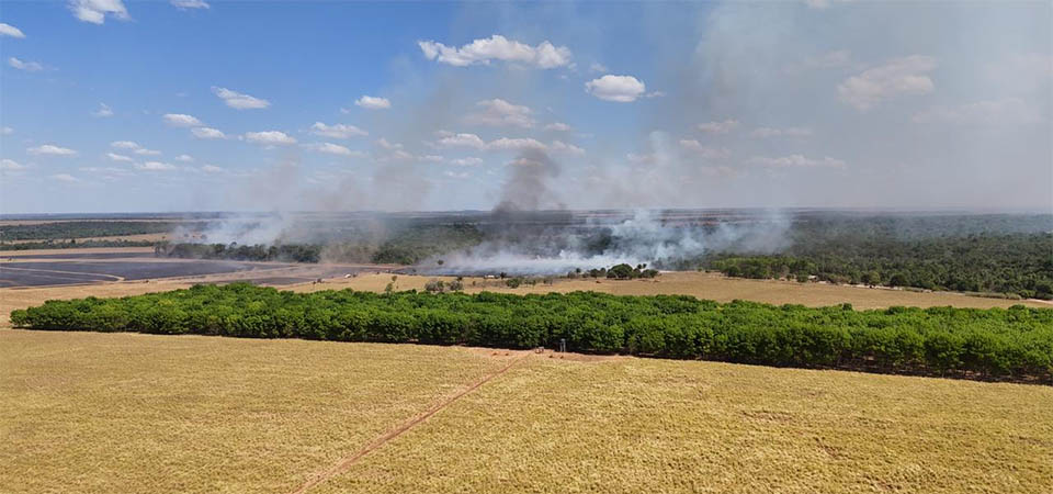 Carro pega fogo em meio a lavoura de milho após acidente na MT-242