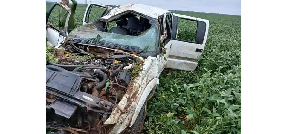 Motorista desvia de anta e capota caminhonete em rodovia