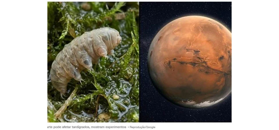 Animal mais forte da Terra é colocado em solo de Marte: resultado espanta