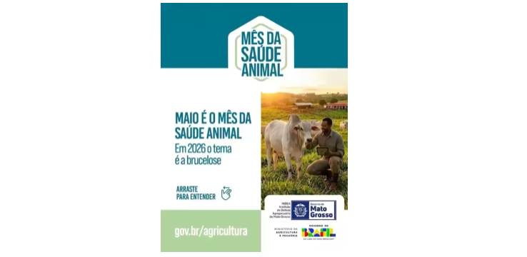 INDEA alerta para que produtores façam a atualização de estoque e vacina contra a brucelose. Vídeo