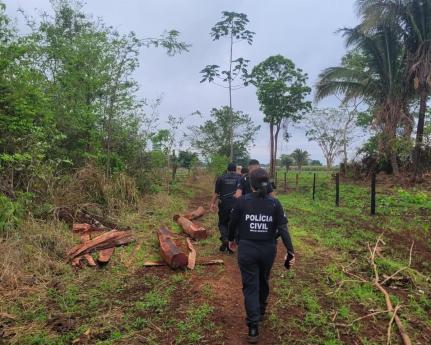 Polícia faz buscas contra acusados de furtar dezenas de animais e queimar fazenda