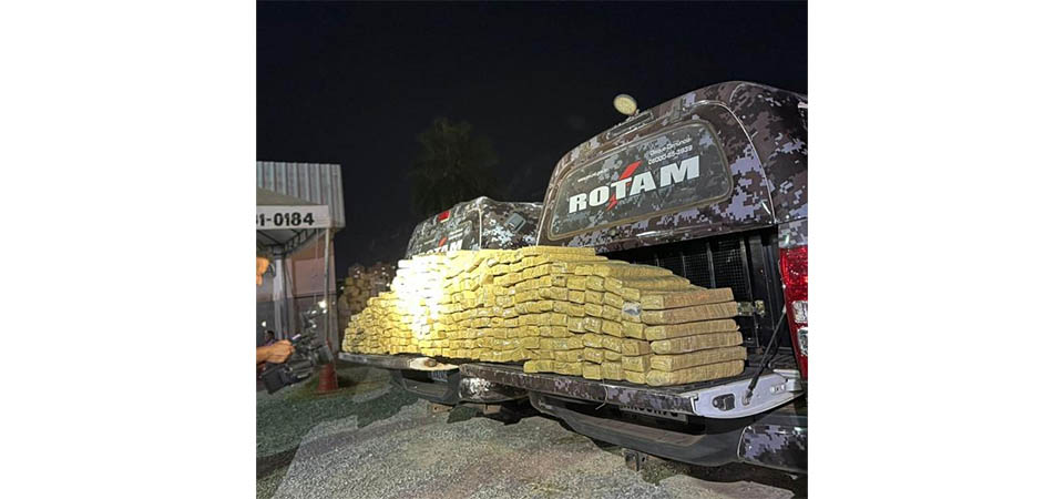 Rotam apreende mais de 300 kg de maconha