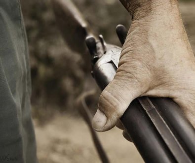 Homem vai caçar com amigo; é confundido com porco e acaba baleado