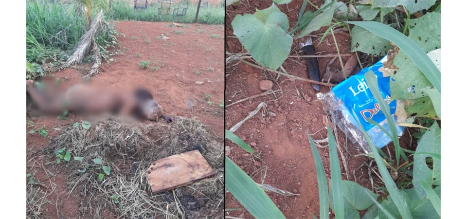 Bandidos desligam energia e furtam transformador e cabos