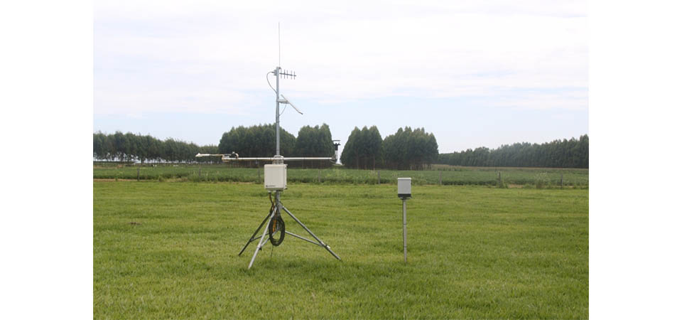 Chuvas em Mato Grosso foram favoráveis à segunda safra