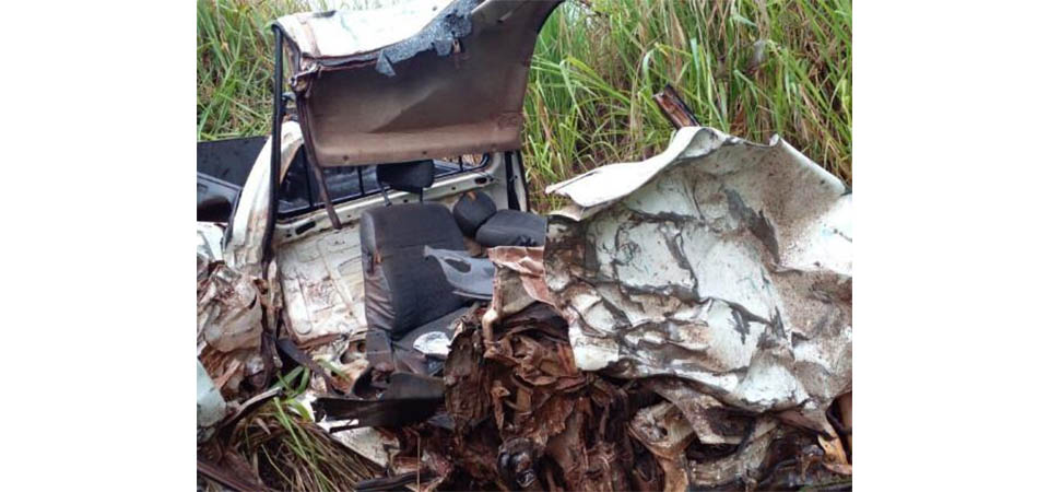 Duas pessoas morrem depois de carro bater em capivara e caminhão