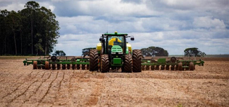Começa vazio sanitário em Mato Grosso para controle da ferrugem da soja