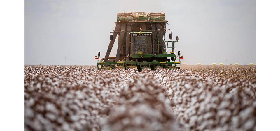 Economia mato-grossense cresce 6,7% no segundo trimestre