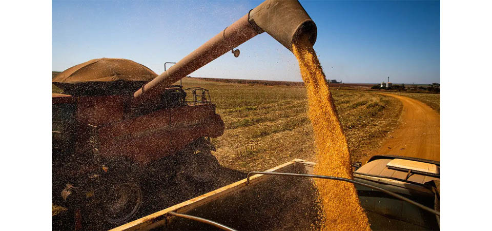 Mundo precisa de mais um ‘Brasil’ em terras agrícolas na próxima década