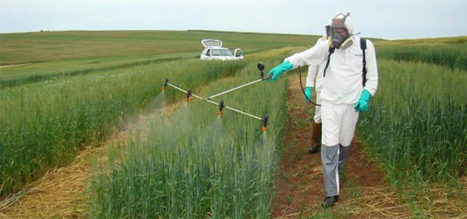 Programa para redução do uso de defensivos agrícolas está sendo elaborado
