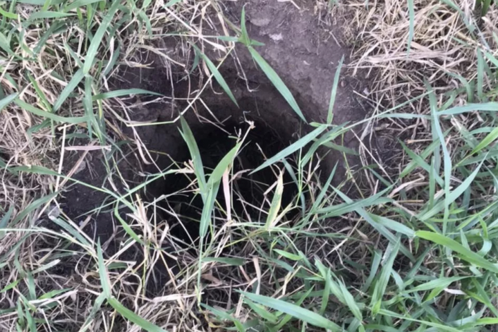 Bebê é encontrado vivo após passar dois dias dentro de buraco