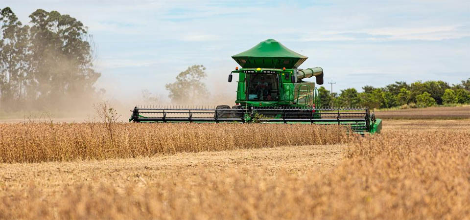 MT concentra 26 dos 50 municípios do país com os maiores valores de produção agrícola
