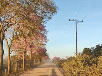 50 mil famílias produtoras de Mato Grosso podem ficar sem desconto de até 67% na luz